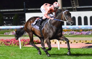 Black Caviar winning at Moonee Valley - photo by Race Horse Photos Australia