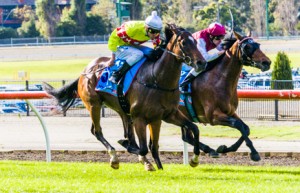 Prince Harada winning the Alternate Railway Handicap at Moonee Valley - photo by Race Horse Photos Australia