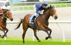 Atlantic Jewel winning the Top Cut Stocks Stakes at Moonee Valley - photo by Race Horse Photos Australia