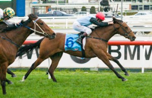 Octavia winning the KS Environmental Cockram Stakes at Caulfield - photo by Race Horse Photos Australia