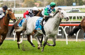 Puissance de Lune winning the Back to Caulfield P.B. Lawrence Stakes at Caulfield - photo by Race Horse Photos Australia