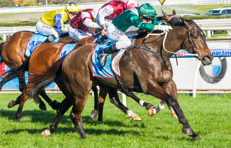 Samaready spot-on for Moir Stakes 2013 | Sports News Australia