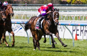 Hucklebuck winning the Gothic Stakes at Caulfield - photo by Race Horse Photos Australia