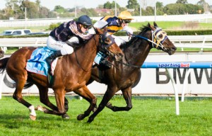 Ibicenco winning the Heatherlie Handicap at Caulfield - photo by Race Horse Photos Australia