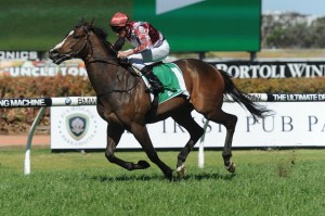 Julienas has been a notable shortener in today's 2013 Caulfield Cup