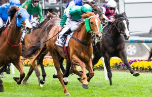 Vibrant Rouge winning the City Jeep Handicap at Moonee Valley - photo by Race Horse Photos Australia