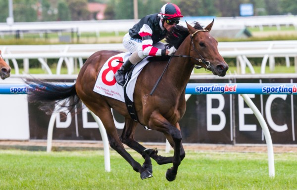 Electric Charge winning the Desiree Gill Tribute Stakes at Caulfield ridden by Glen Boss and trained by Robbie Griffiths - (photo by Steven Dowden/Race Horse Photos Australia)