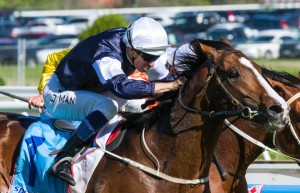 Sea Moon winning the Sportingbet Herbert Power Stakes at Caulfield - photo by Race Horse Photos Australia