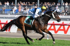 Smokin Joey - Stradbroke Handicap 2014