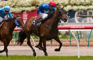 Unchain My Heart - photo by Race Horse Photos Australia