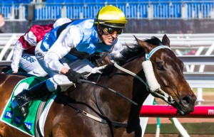 Smokin' Joey winning the The TAB.com.au at Flemington ridden by Chris Symons and trained by Wez Hunter - (photo by Steven Dowden/Race Horse Photos Australia)