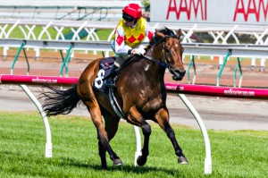 Decircles winning the ISIS Handicap at Flemington ridden by Glen Boss and trained by Danny O'Brien - (photo by Steven Dowden/Race Horse Photos Australia)