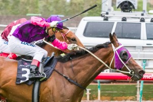 Gog winning the Riverside Handicap at Flemington ridden by Vlad Duric and trained by Shawn Mathrick - (photo by Steven Dowden/Race Horse Photos Australia)