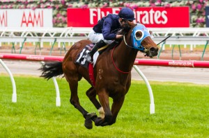 Salute To Jude winning the Fiesta Star Handicap at Flemington ridden by Chad Schofield and trained by Robert Smerdon - (photo by Steven Dowden/Race Horse Photos Australia)