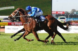 Velrosso horse racing Tips -Gold Coast racecourse