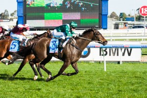 Samaready winning the Theshark.com.au at Caulfield - photo by Race Horse Photos Australia