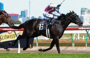 Last Year: Ferlax winning the Australian Guineas at Flemington - photo by Race Horse Photos Australia (Steven Dowden)