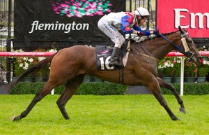 Mosheen winning the Australian Guineas at Flemington - photo by Race Horse Photos Australia