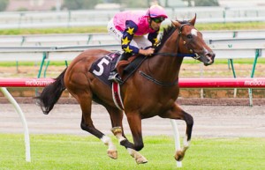 Shamexpress winning the Summer Heros Raceday 1200 at Flemington - photo by Race Horse Photos Australia