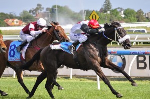 Floria - Eagle Farm Cup 2014