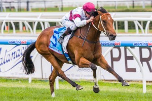 Not Listenin'Tome winning the Zeditave Stakes at Caulfield ridden by James McDonald and trained by Michael, Wayne & John Hawkes - (photo by Steven Dowden/Race Horse Photos Australia)