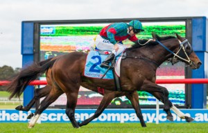 Office Bearer winning the MiStable Handicap at Sandown - photo by Race Horse Photos Australia