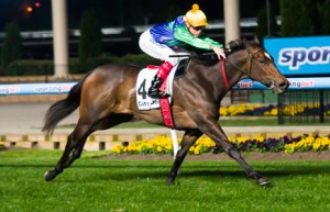 Thump winning the Gallagher Bassett/ TBV Champagne Stakes at Moonee Valley - photo by Race Horse Photos Australia