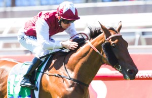 Doomben Tips on Doomben 10,000 day includes Wistful in our best bets