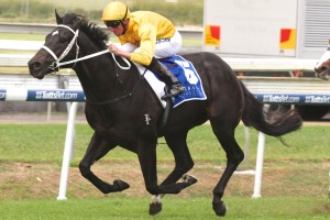 Brazen Beau - 2014 JJ Atkins Stakes Tips