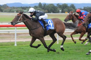 Leebaz - Doomben Cup 2014