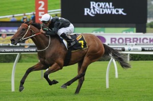 Leebaz is our best bet on Hawkesbury Cup day 2014