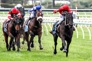 Pressing winning the Sky High Mt Dandenong Stakes at Caulfield ridden by Brad Rawiller and trained by Mick Price - (photo by Steven Dowden/Race Horse Photos Australia)