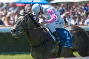 Arabian Gold is our Top Tip at the Doomben Cup 2014 meeting