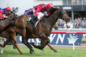 Surge Ahead - Queensland Derby 2014