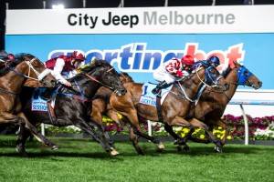 2014 Doomben 10000 favourite Buffering