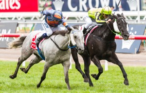 Black Cash - Eye Liner Stakes 2014