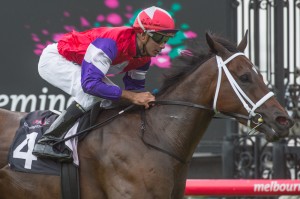 Hucklebuck's 2014 Stradbroke Handicap odds have shortened