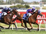 Mahuta - Bletchingly Stakes