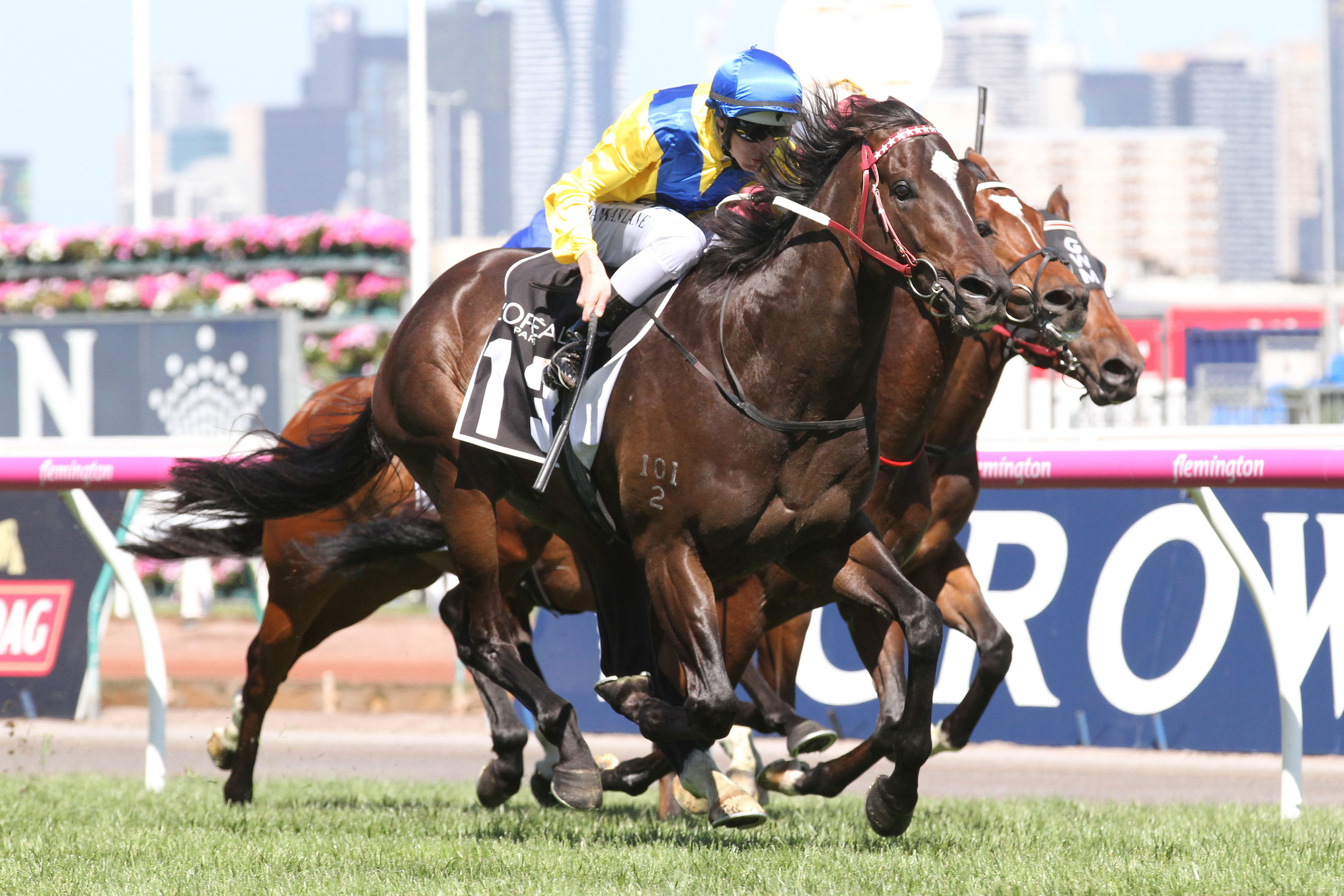 Rageese to join 2016 Railway Stakes field in Perth | Sports News Australia