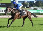 Winx - Chipping Norton Stakes