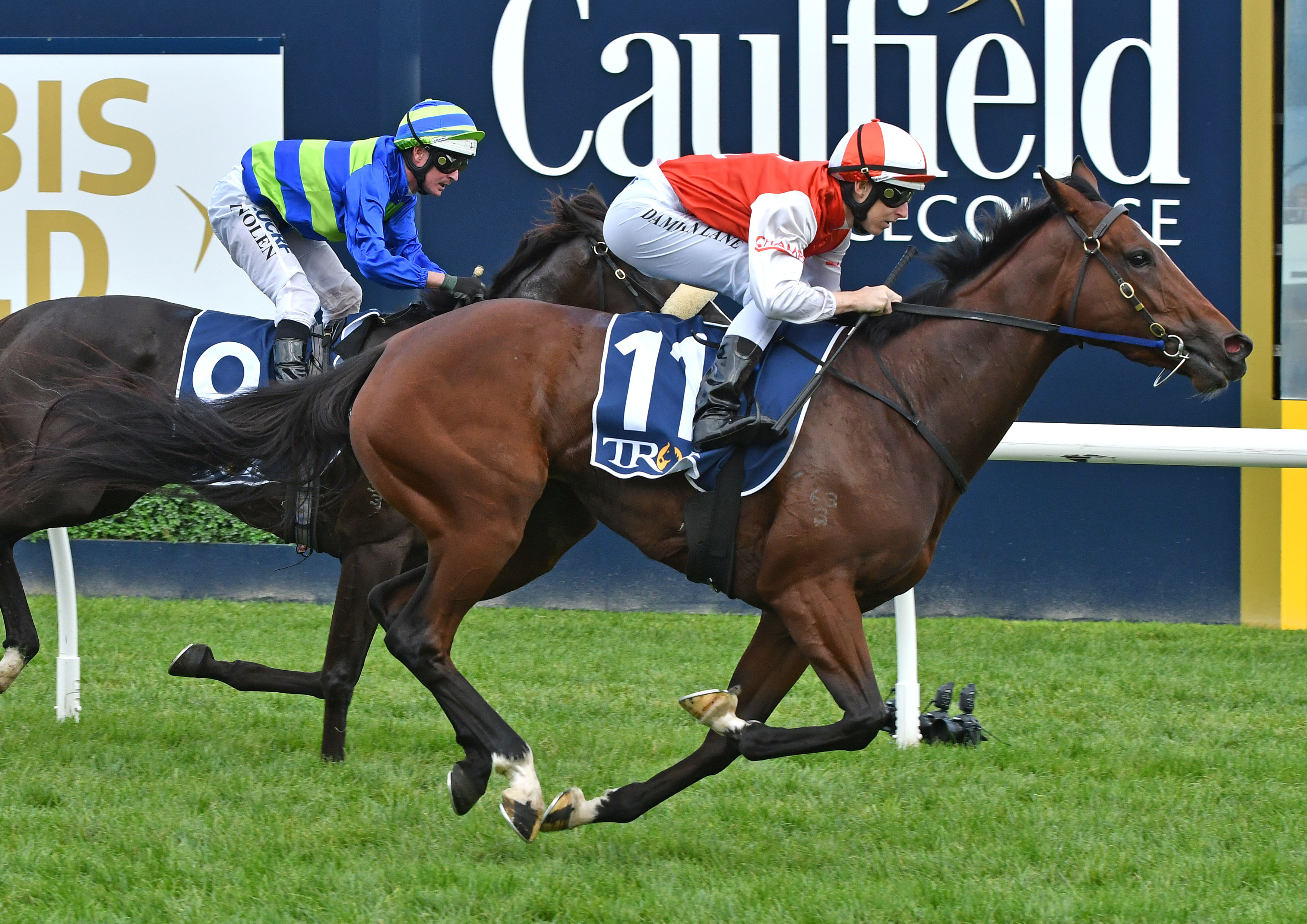 Queensland Oaks a possibility for Toffee Nose Sports News Austra pic