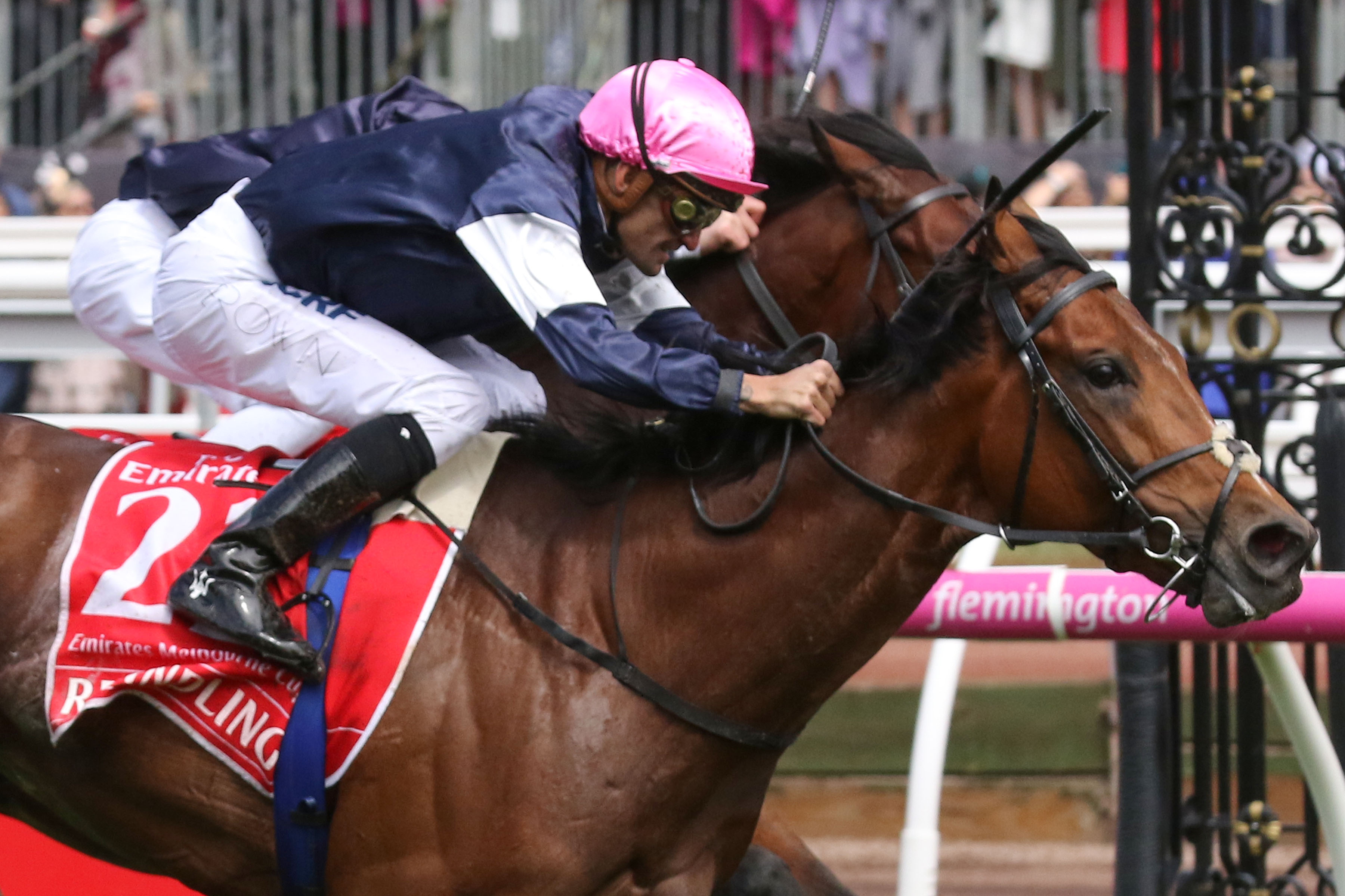 Punters wage 90m on Melbourne Cup Sports News Australia
