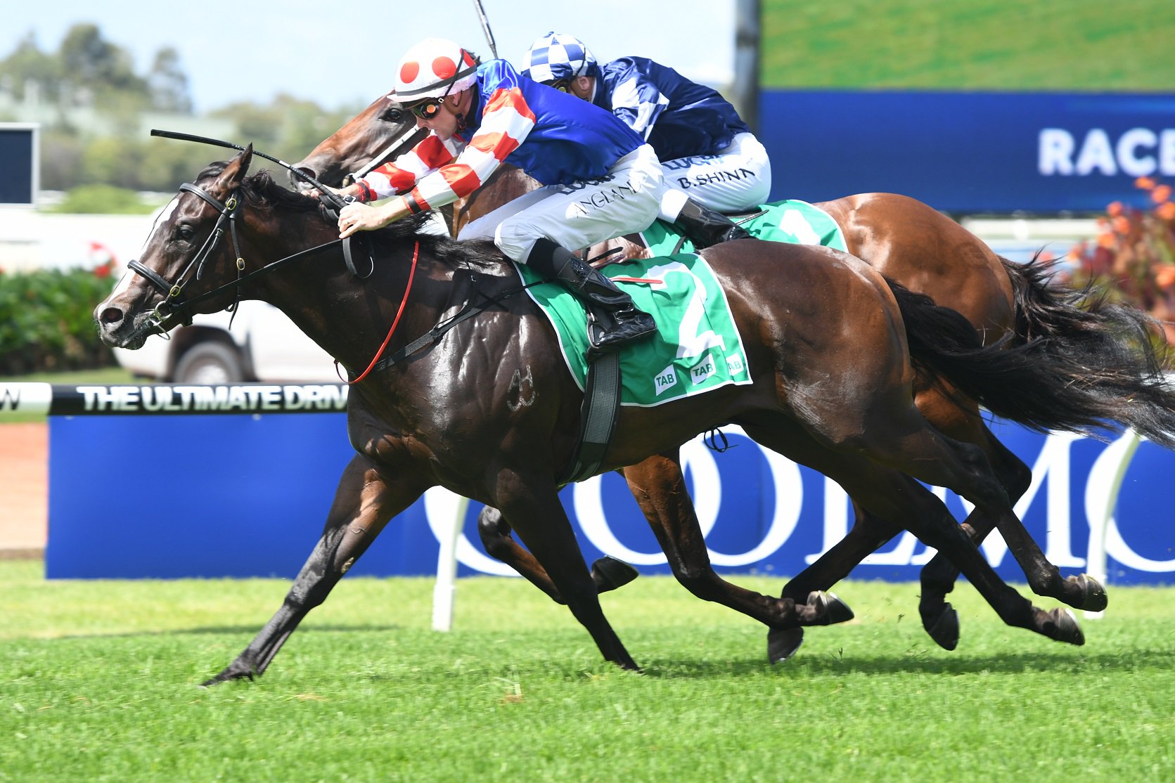 Single Bullet set for Wyong Magic Millions Stakes | Sports News Australia