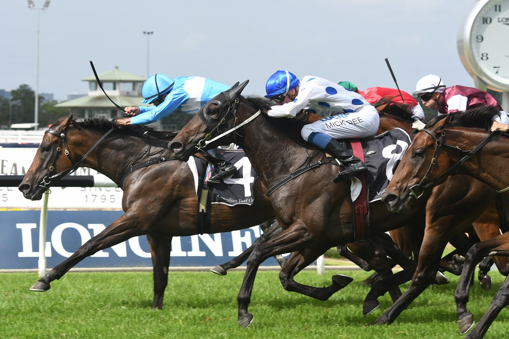 prompt-response-races-into-legacy-stakes-contention-sports-news-australia