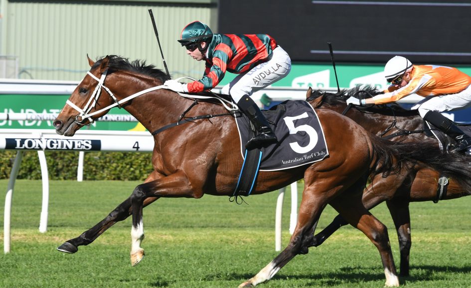 The Autumn Sun dominates Caulfield Guineas odds | Sports News Australia