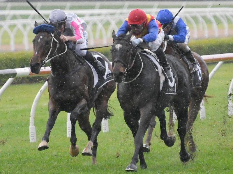 Canterbury races Tips, Race Previews and Selections 26/5/2021