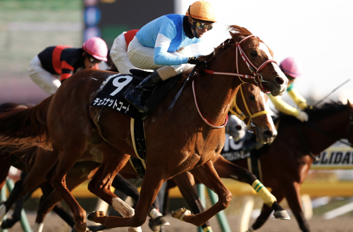 Japanese horses entered for the Caulfield Cup, Melbourne Cup fields ...