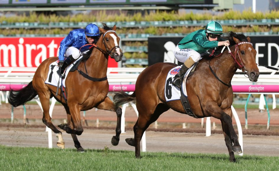 Makybe Diva Stakes What you need to know Sports News Australia