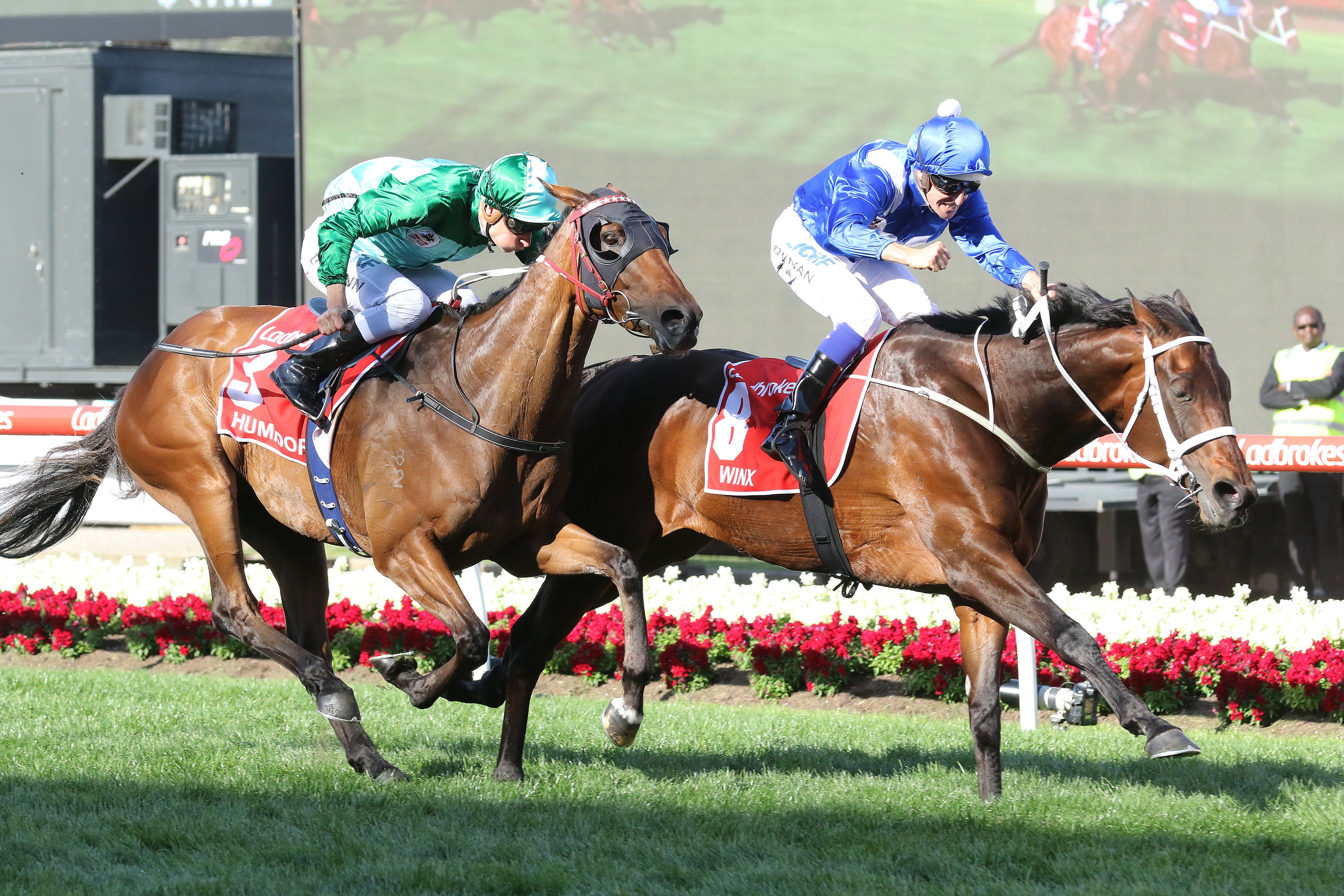 Cox Plate day Tips and Bets – Moonee Valley Races (Winx) 27/10/2018 ...