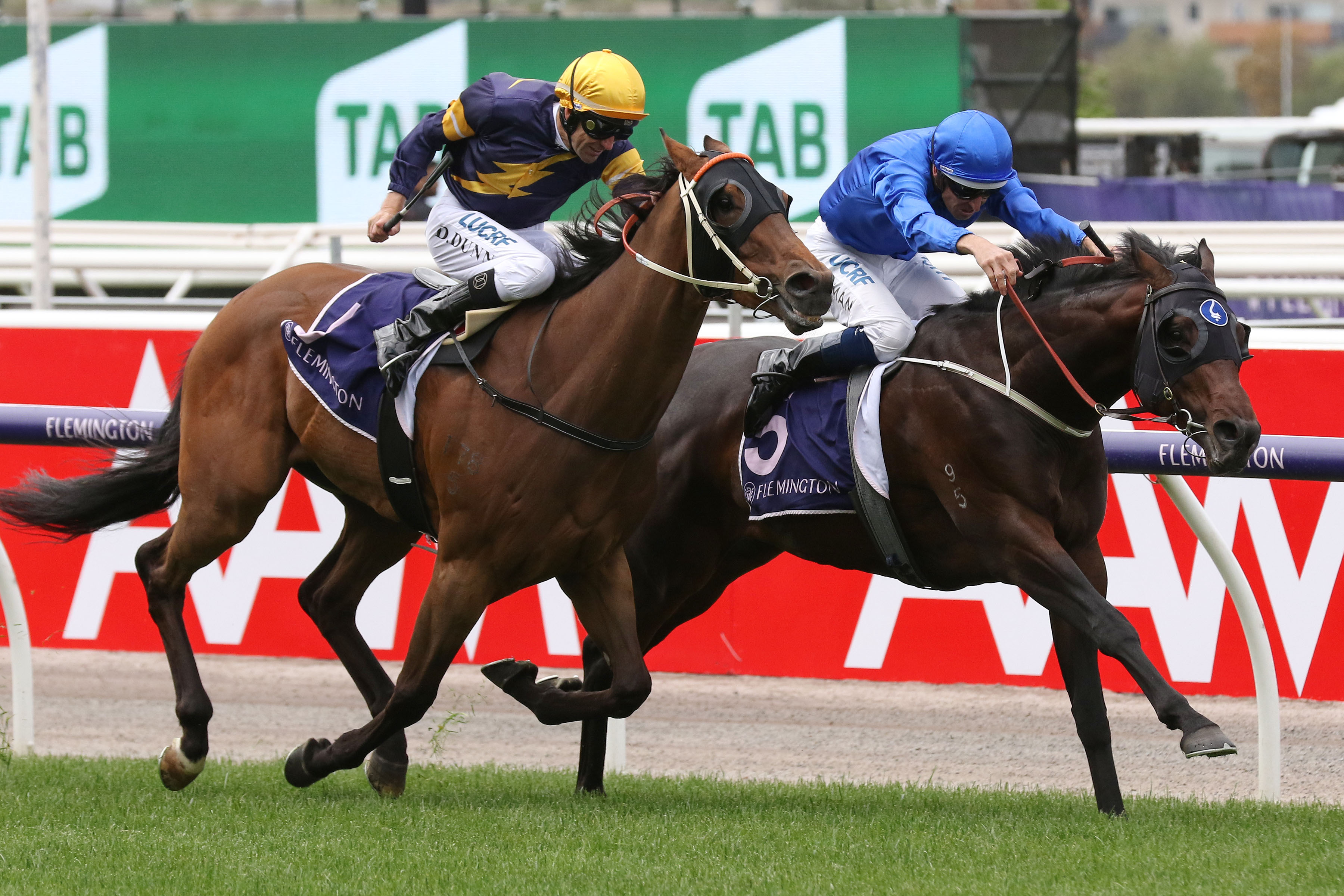 Ranier too strong in Carbine Club Stakes | Sports News Australia